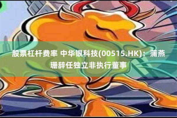 股票杠杆费率 中华银科技(00515.HK)：蒲燕珊辞任独立非执行董事