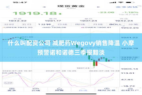 什么叫配资公司 减肥药Wegovy销售降温 小摩预警诺和诺德三季报黯淡