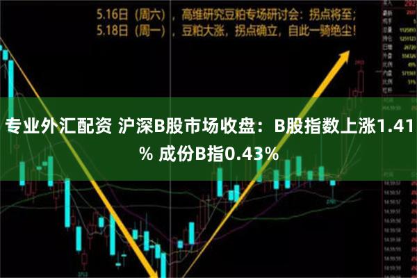 专业外汇配资 沪深B股市场收盘：B股指数上涨1.41% 成份B指0.43%