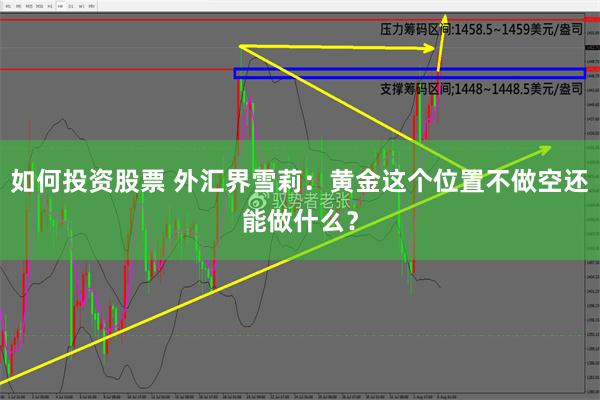 如何投资股票 外汇界雪莉：黄金这个位置不做空还能做什么？