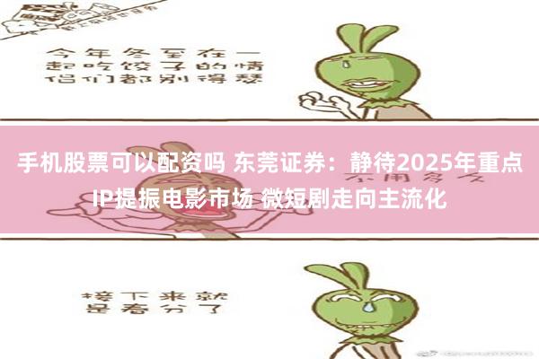 手机股票可以配资吗 东莞证券：静待2025年重点IP提振电影市场 微短剧走向主流化