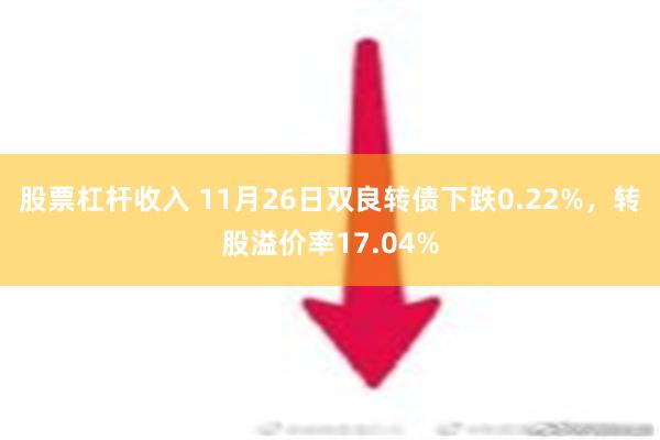 股票杠杆收入 11月26日双良转债下跌0.22%，转股溢价率17.04%