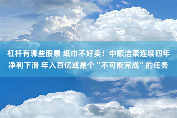 杠杆有哪些股票 纸巾不好卖！中顺洁柔连续四年净利下滑 年入百亿或是个“不可能完成”的任务